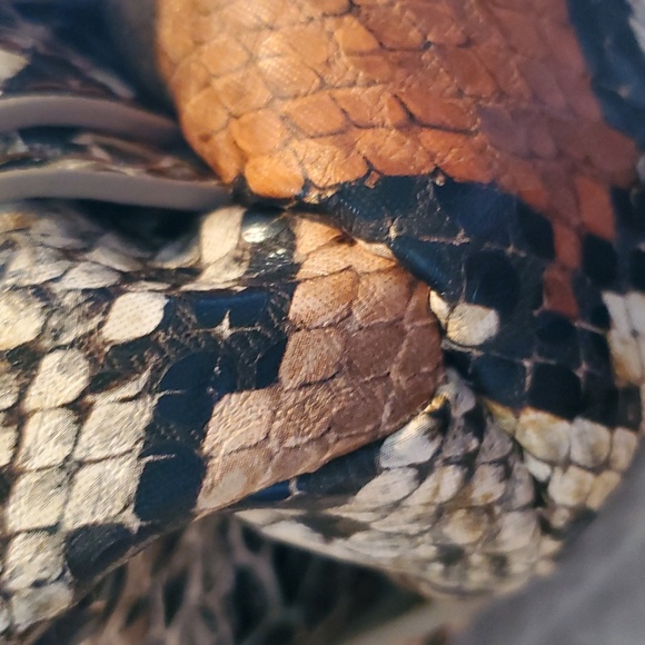 Big buddy faux snake skin purse - Picture 7 of 12